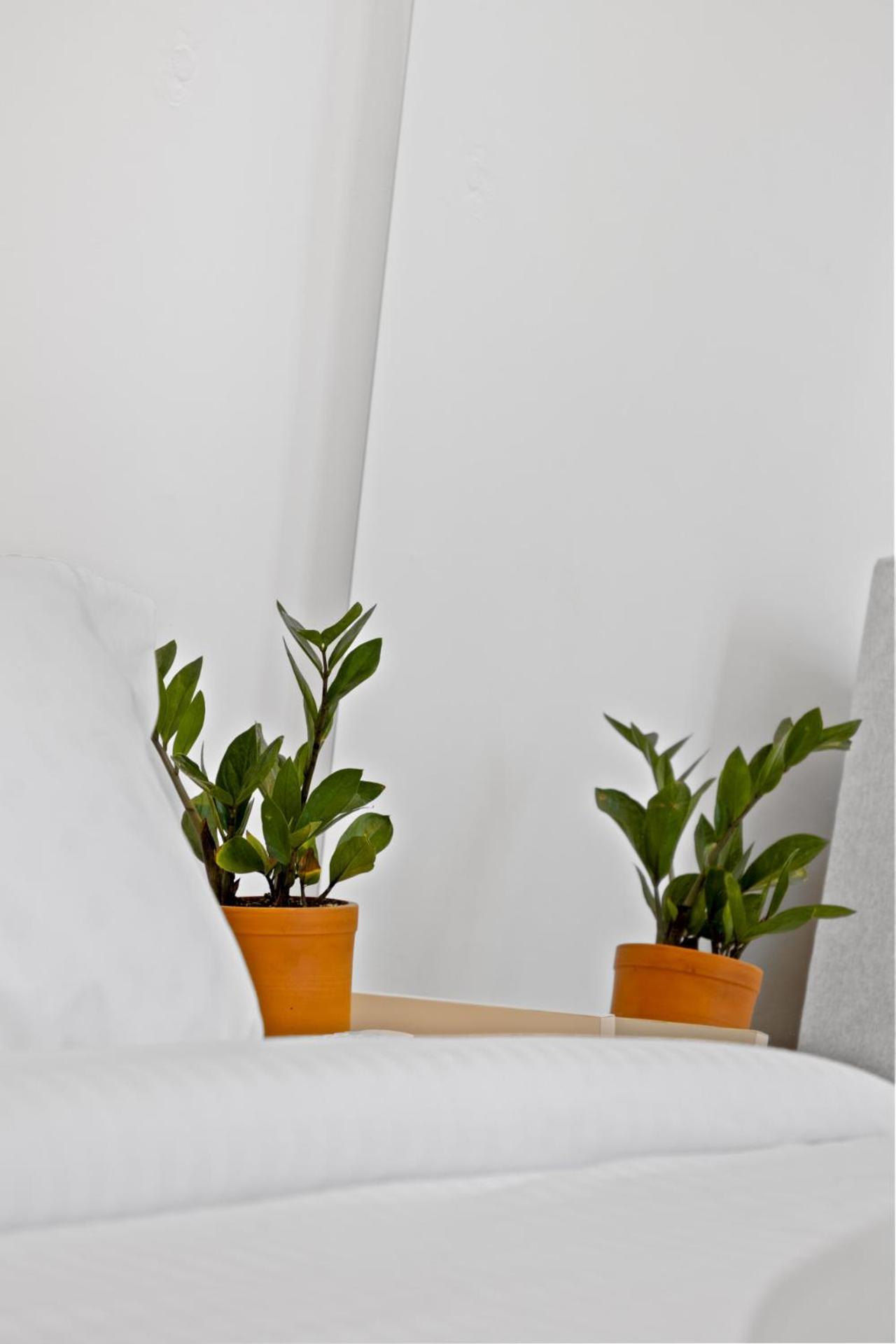 Wardufil A Heritage 3-br In Mar Mikhael Apartment Beirut